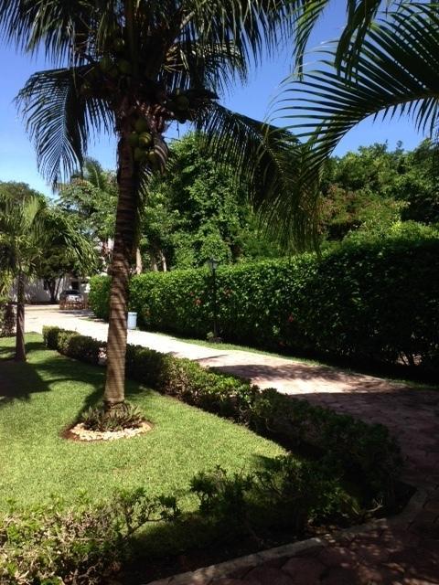 B&B Villa Hibiscus Playa del Carmen Exteriér fotografie